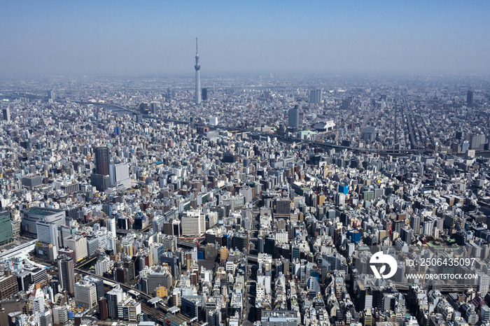 Aerial view of Tokyo