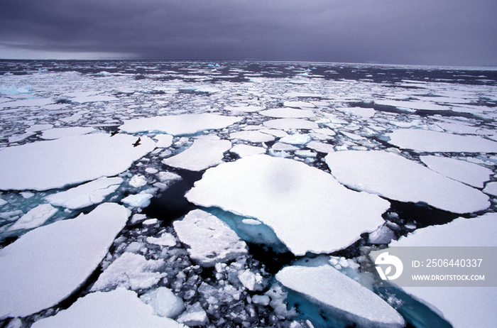 Arctic Circle