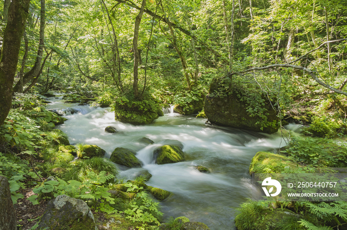 Oirase Mountain Stream, Towada, Aomori Prefecture, Japan