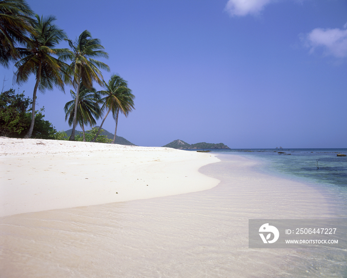 Caribbean, Grenadines Islands, Carriacou island the beach