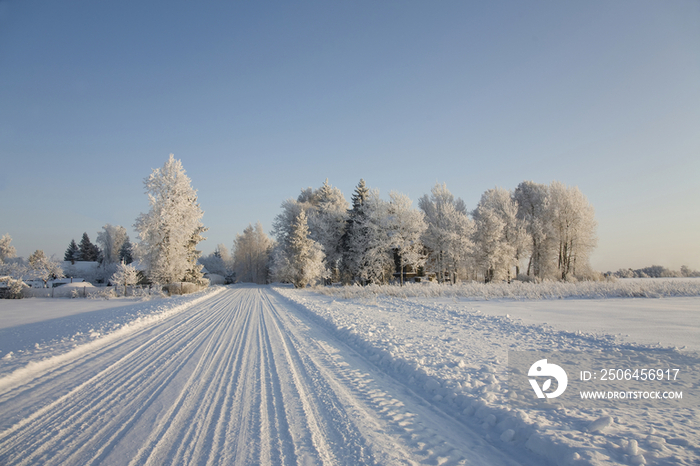 Country Road Covered in Snow