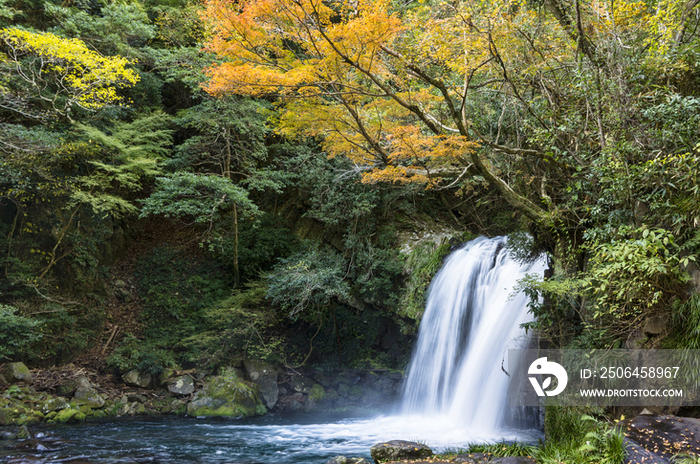 Shokeidaru Waterfall, Kawazu Nanadar, Shizuoka Prefecture, Japan