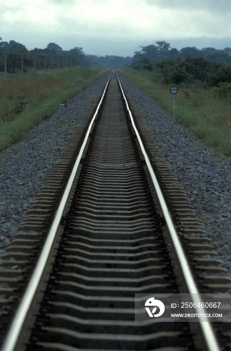 Train tracks 