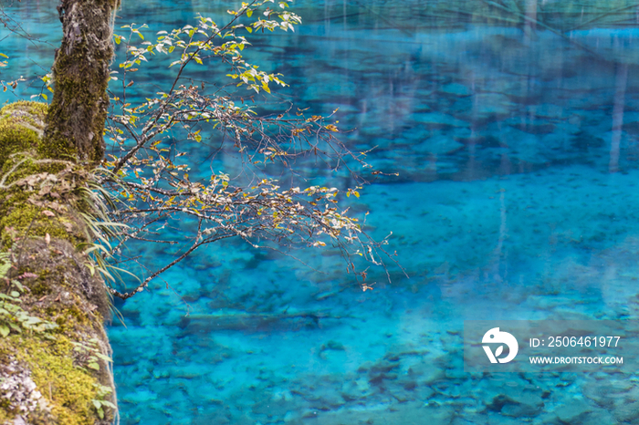 Jiuzhaigou,China