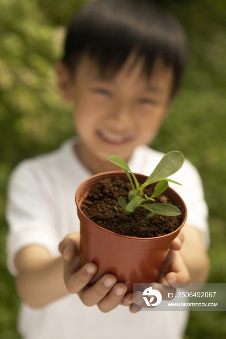 小男孩和盆栽植物