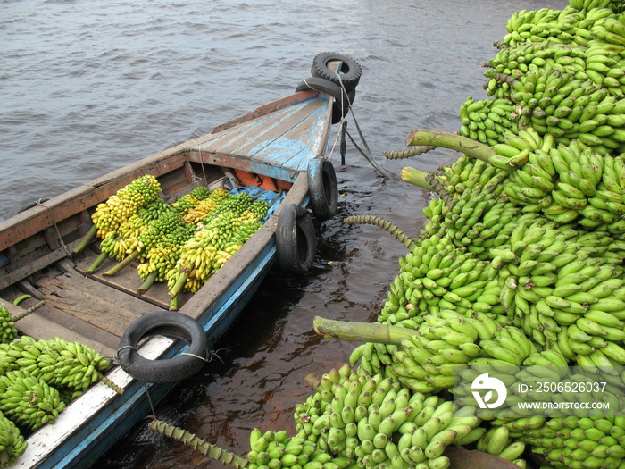 Bananenanlieferung am Bananenmarkt。玛瑙斯，亚马逊-巴西