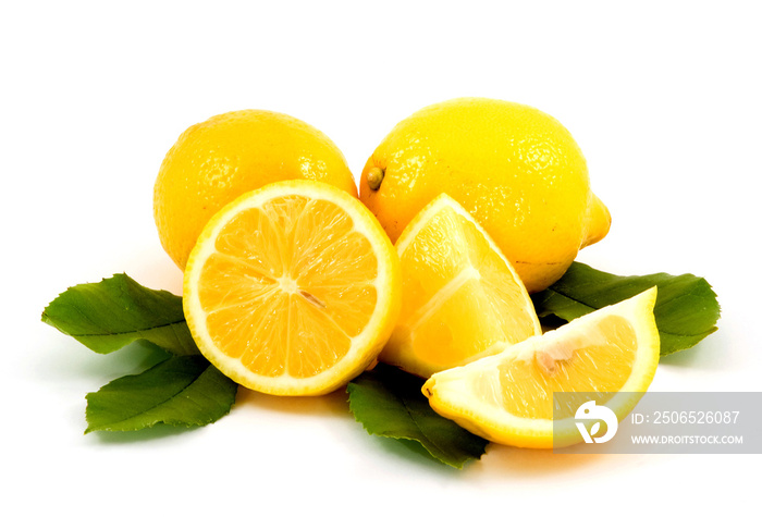 lemon studio isolated