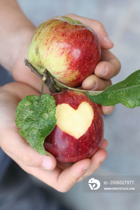 Apfel-Liebe