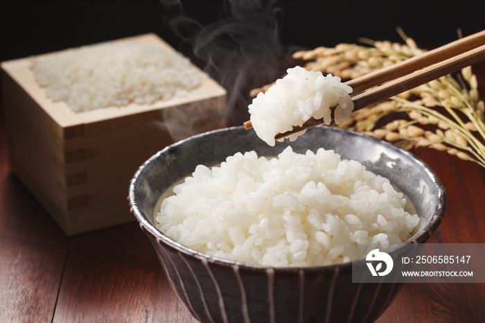 白米のご飯　Japanese rice KOME