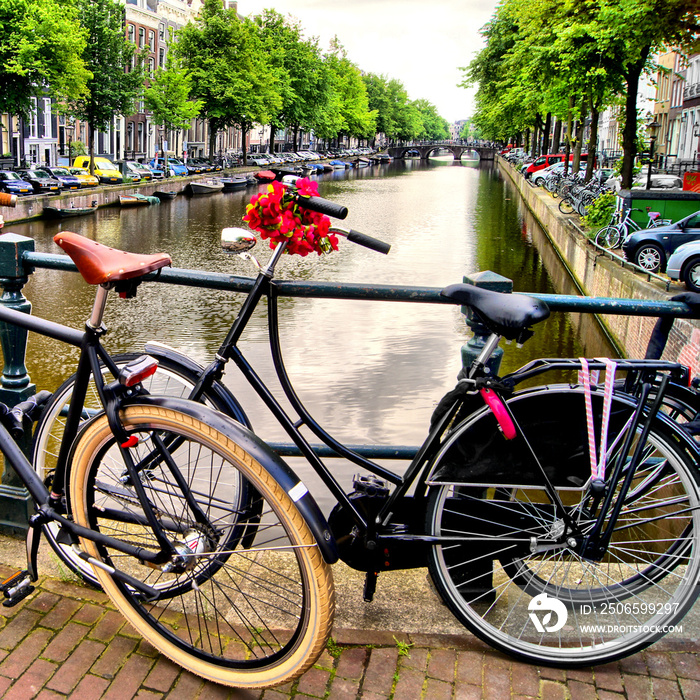 在荷兰阿姆斯特丹，沿着运河骑自行车