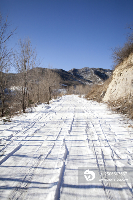 冰雪覆盖的路