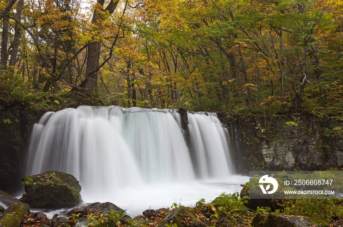 Choshi Waterfall in Oirase Mountain Stream, Aomori Prefecture, Japan