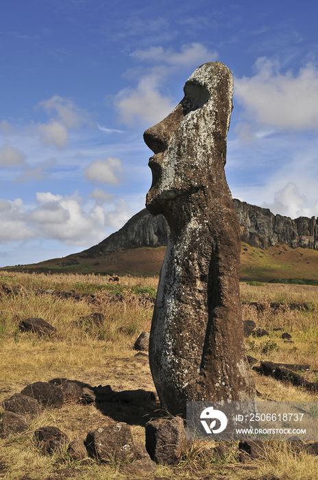 Moai Statue in Easter Island, Chile