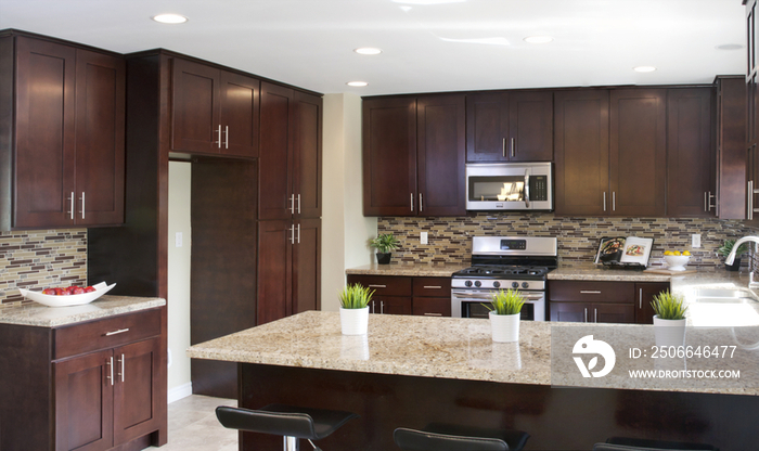 Interior of kitchen with wooden cabinets; California; United States of America