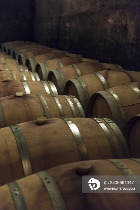 Cellar at Chateau du Taillan, Bordeaux, France