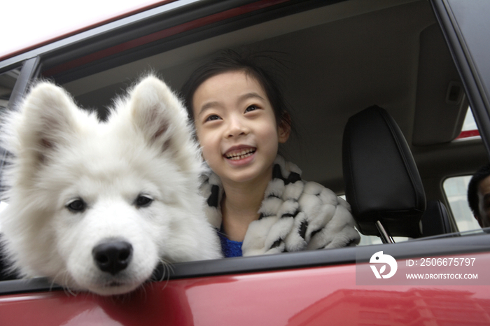 小女孩和狗坐在车里
