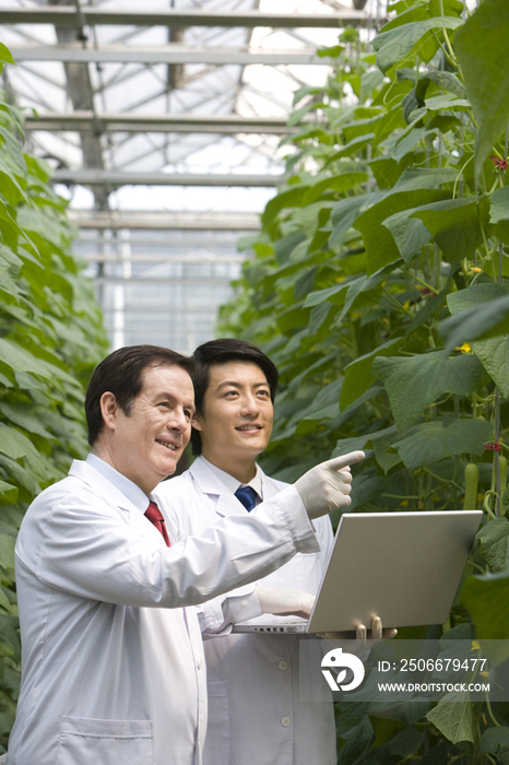 农艺师在现代农庄做科学研究