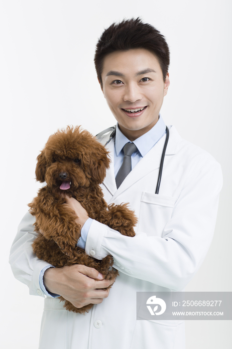 宠物医生抱着一只可爱的泰迪狗