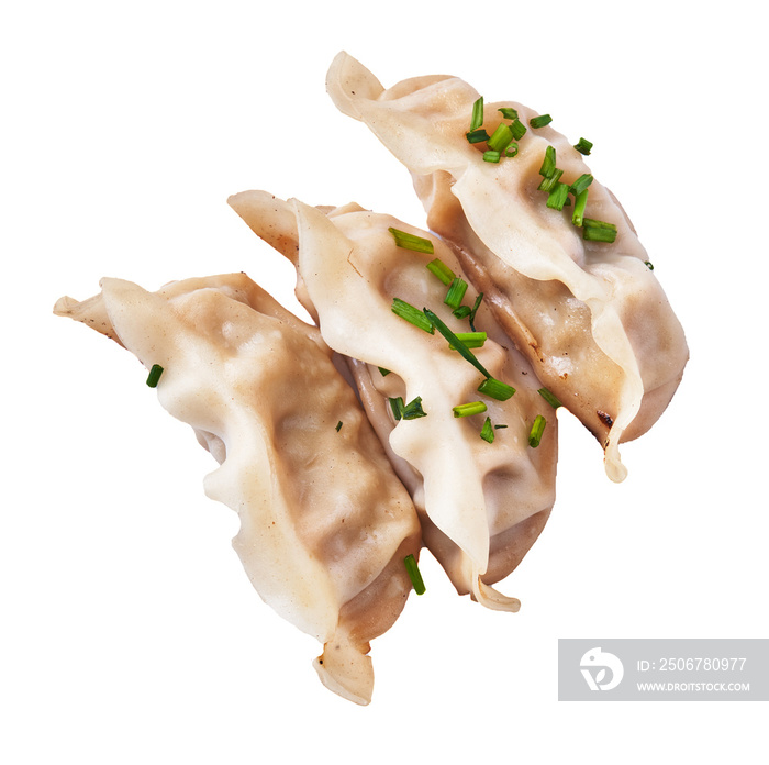 白色背景上分离的一束中国gyoza