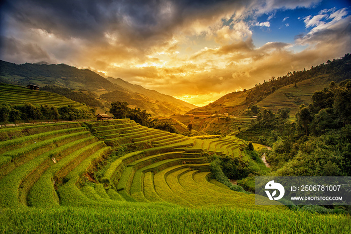 Terrace rice field - Mù Căng Chải District, Yen Bai Province, Vietnam