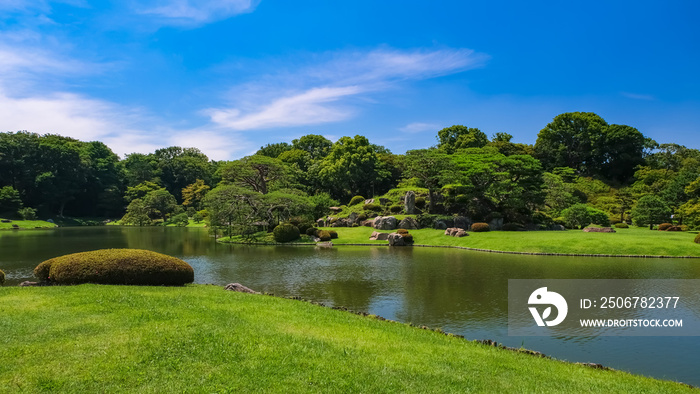 新緑の六義園