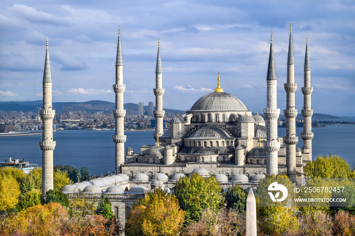 Aerial shot of Blue Mosque (Sultan Ahmed Mosque) surrounded by trees in Istanbuls Old City - Sultan