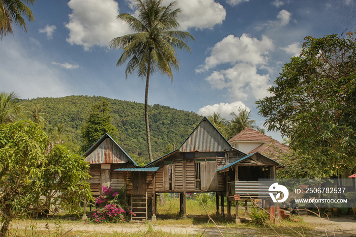 Traditional rural residence with palm tree, village on Penang Island, Malaysia
