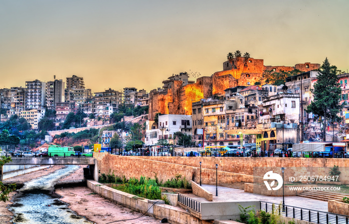 View of Tripoli with the Citadel of Raymond de Saint-Gilles, Lebanon