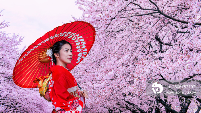 日本春天，身穿日本传统和服和樱花的亚洲女性。
