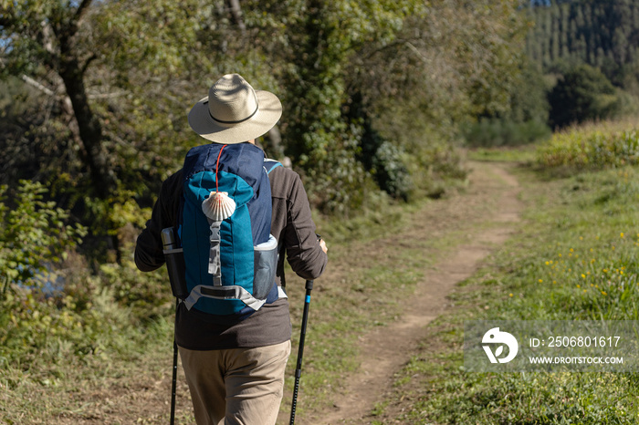 View from behind of a pilgrim walking on his way to Santiago de Compostela on a rural way. Way of sa