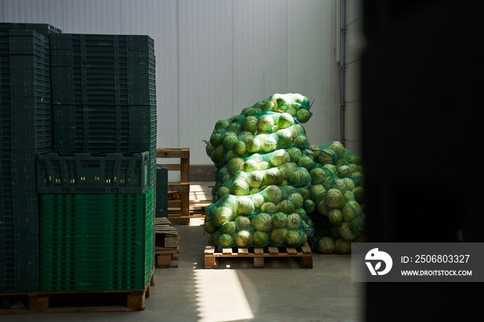 新鲜蔬菜堆放在储存设施