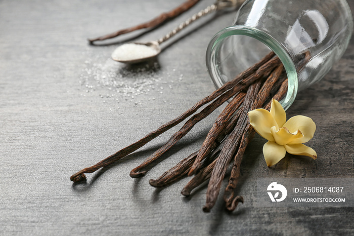 Dried vanilla pods and flower on grey background