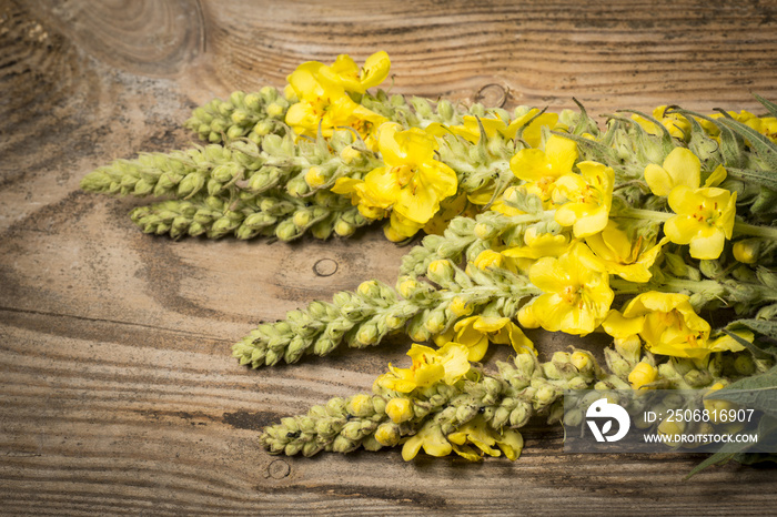 Verbascum densiflorum - mullein flower on a wooden background