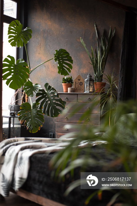 loft style dark bedroom with green plants and textured wall