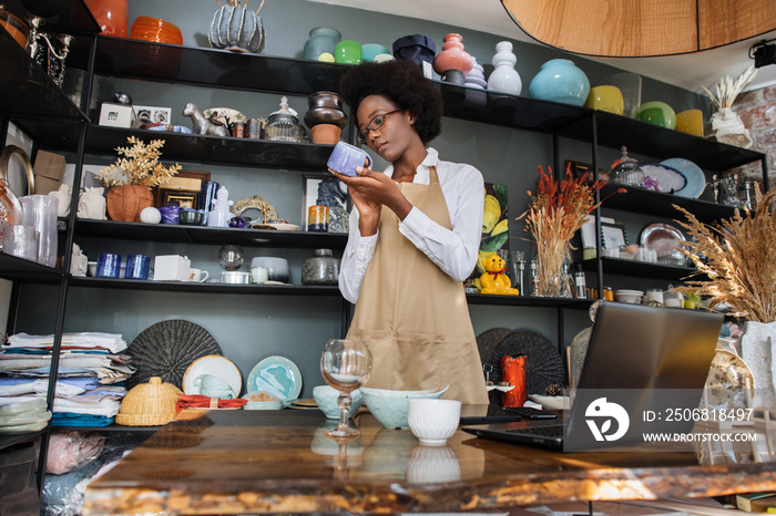 Experienced african saleswoman doing inventory at modern store with various decor. Young lady in eye