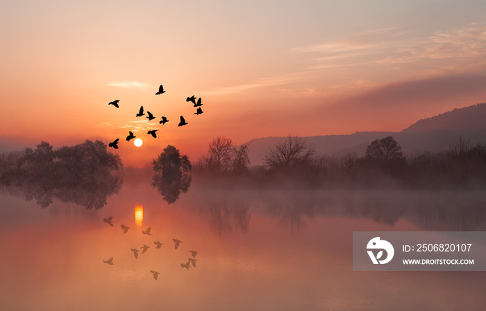 落日余晖下，湖面上飞翔的鸟儿剪影
