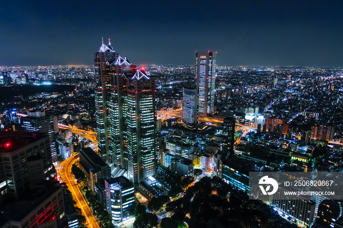 東京 夜景 東京都庁南展望室から