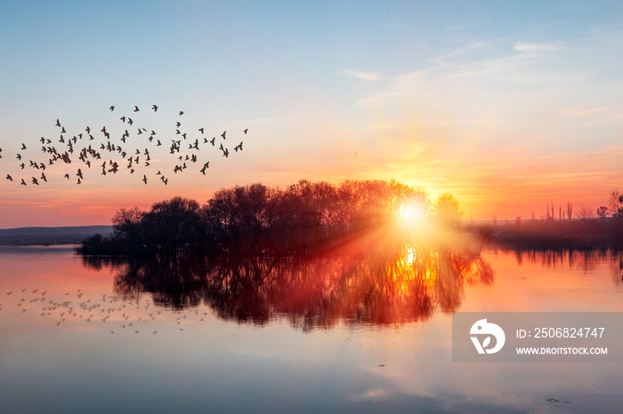 Silhouette of birds flying above the lake at amazing sunset