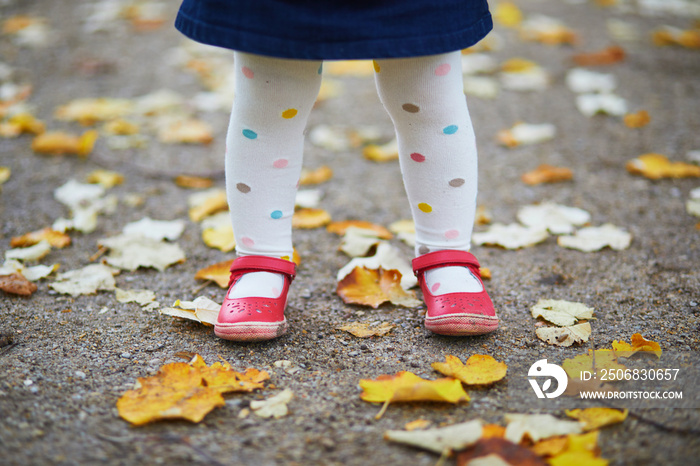 秋天，穿着红色鞋子和圆点内裤的蹒跚学步的女孩站在落叶上