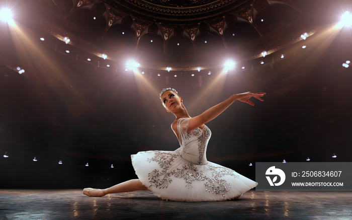 Ballet. Classical ballet performed by a couple of ballet dancers on the stage of the opera house.