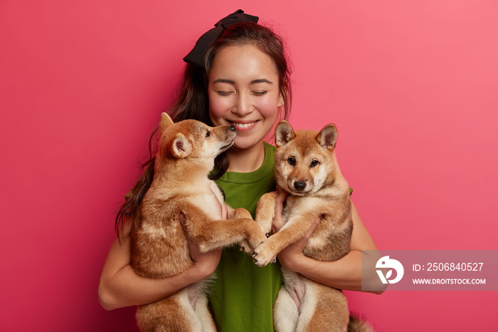 Female pet owner or animal lover holds two shiba inu puppies, expresses care, going to have walk tog