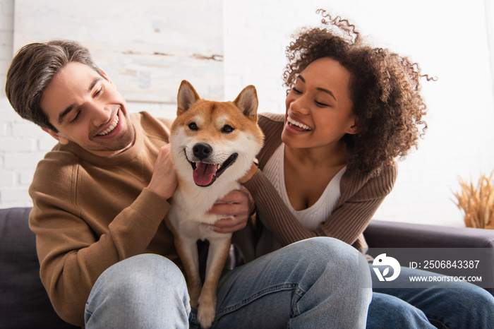 一个积极的非裔美国女人在家里沙发上看着男友身边的shiba inu