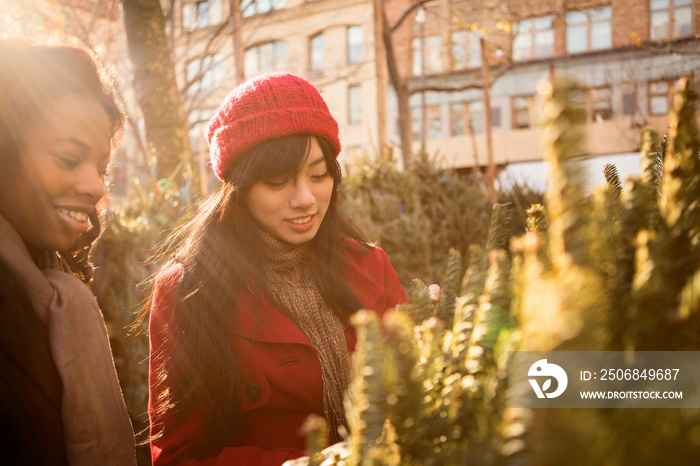 Female friends buying Christmas tree