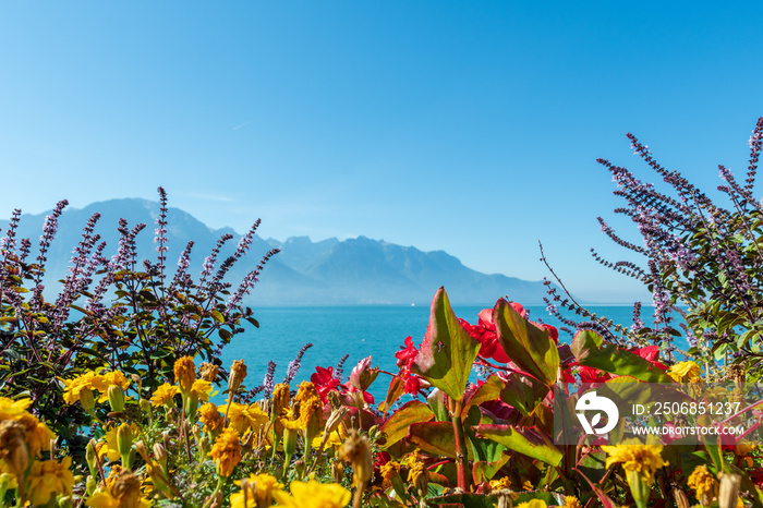 Idylle -  Blumen am Wasser mit Berge