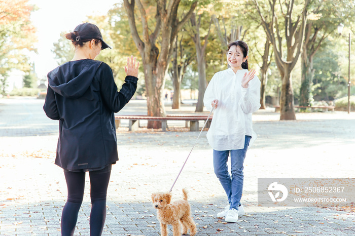 犬の散歩中に挨拶する女性たち