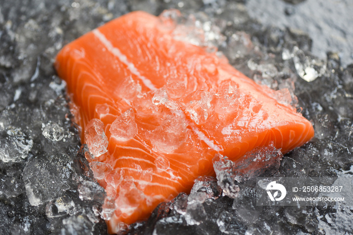 Fresh raw salmon fish steak on ice and dark stone background /