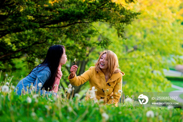 Two young females blowing dandelion clock in park