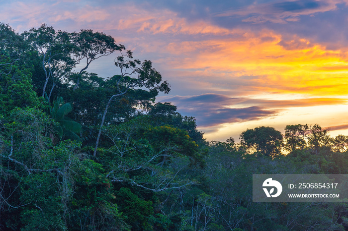 日落在亚马逊雨林的树冠上。亚马逊河流域由布拉兹国家组成