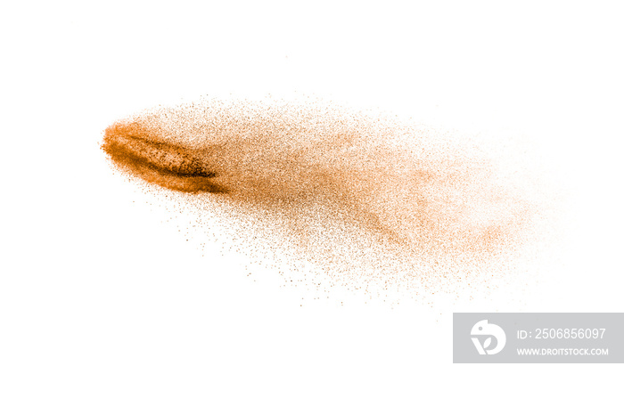 Brown dry river sand explosion isolated on white background. Abstract sand splashing.