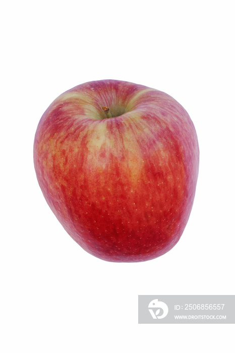 Ambrosia apple（Malus domestica Ambrosia）。Golden Delicious和Jonagold或Starking的杂交种